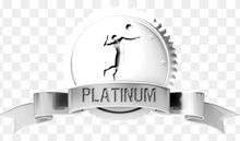 Load image into Gallery viewer, SPONSORSHIP: TBI + Concussion Summit May 4-5 2024 Tampa Bay, FL